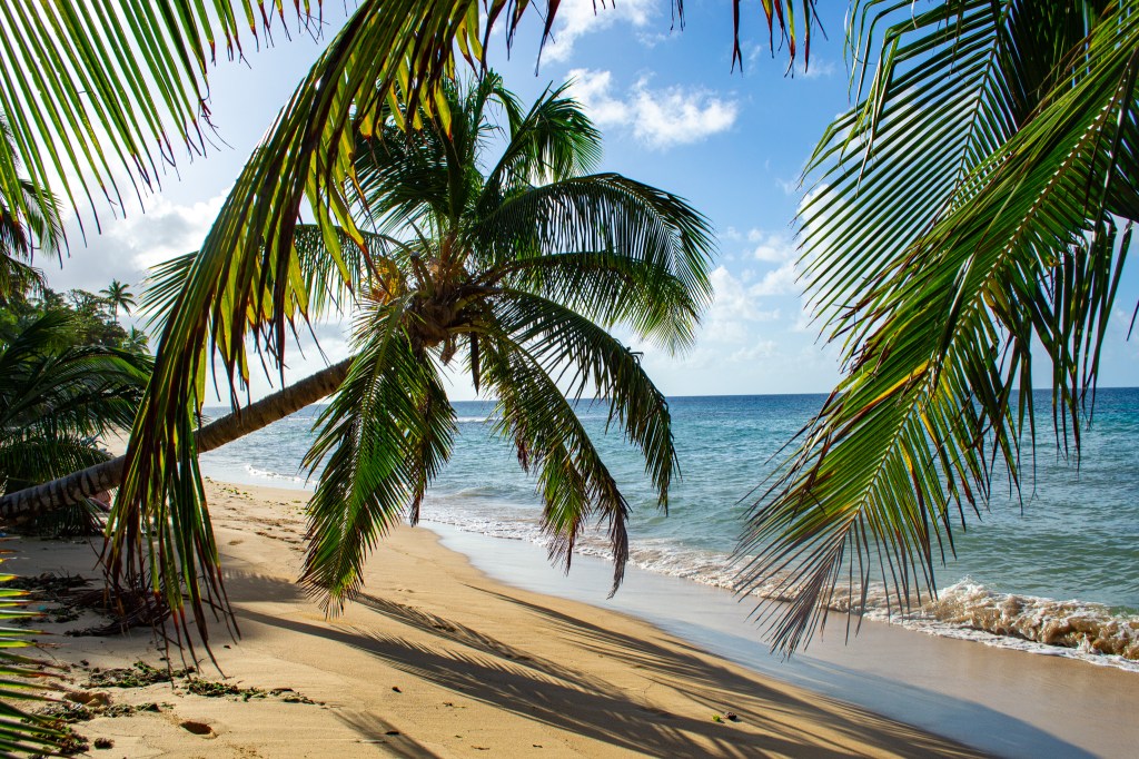 An Unbelievably Underrated Caribbean Paradise: The Corn Islands, Nicaragua – 2025 Travel&nbsp;Guide
